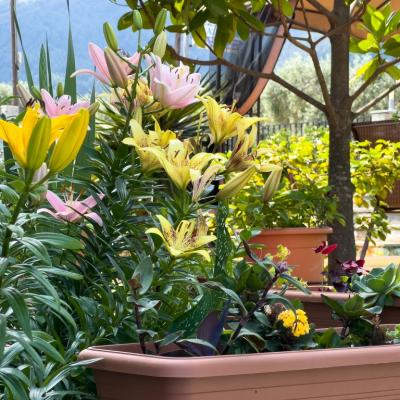 Katerina Liapi 48 1024x768